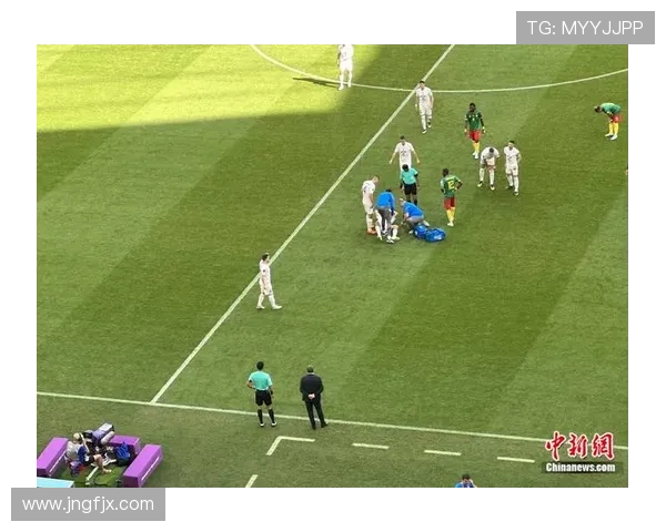 塞尔维亚主帅斯托伊科维奇近期带队表现稳健 塞尔维亚主帅斯托伊科维奇近期带队表现稳健