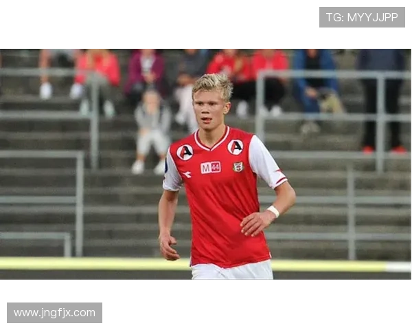 奥德加德国家队表现